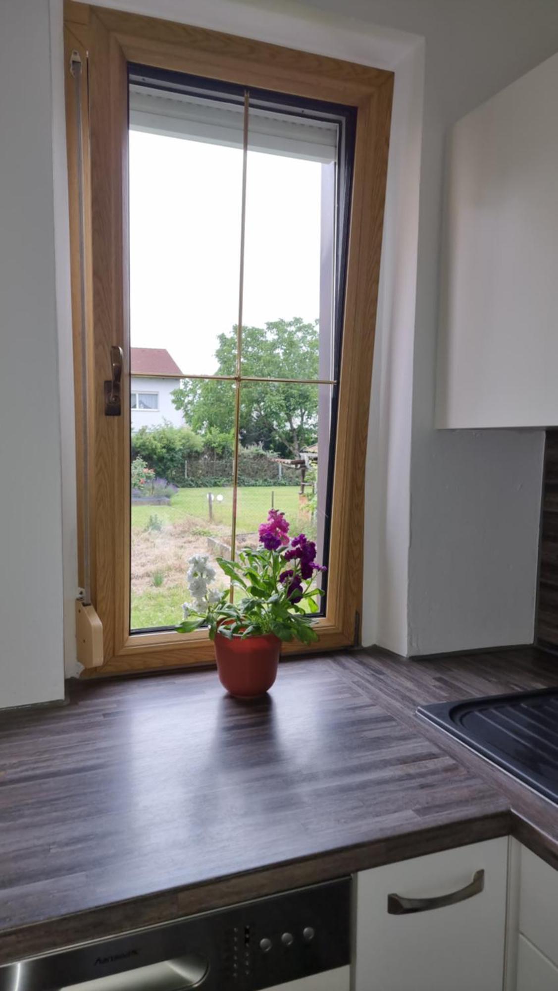 3- Zimmer-Wohnung In Linz Leonding Екстер'єр фото